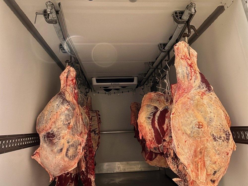 Zwei Rinderviertel hängen im gekühlten Transporter